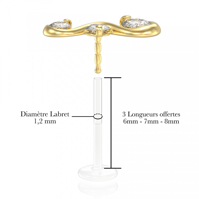 © L'Adélaïde Popart Piercing 5