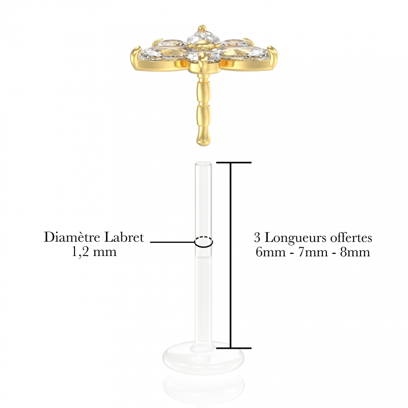 ©L'Orphéa Popart Piercing 5