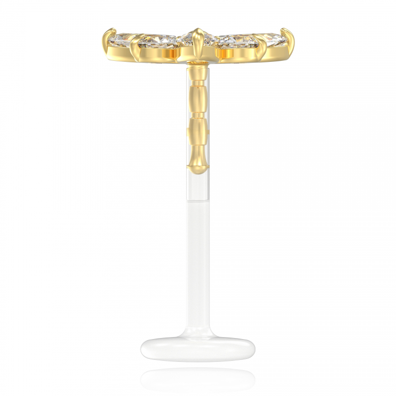 ©L'Orphéa Popart Piercing 9