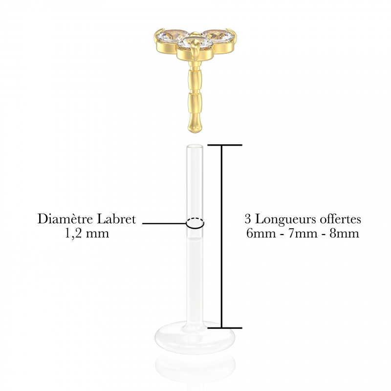 ©Le Petit Trèfle Popart Piercing 5