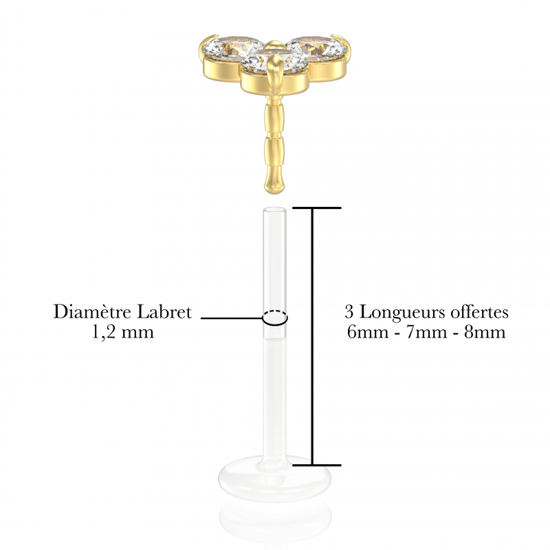 Le Grand Trèfle Popart Piercing 5