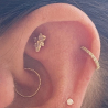 piercing hélix