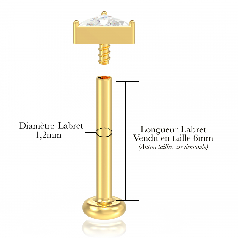 ©Popart Piercing L’Euclide