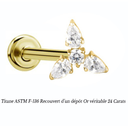 piercing titane