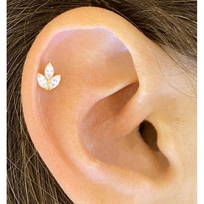 piercing cartilage
