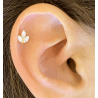 piercing cartilage